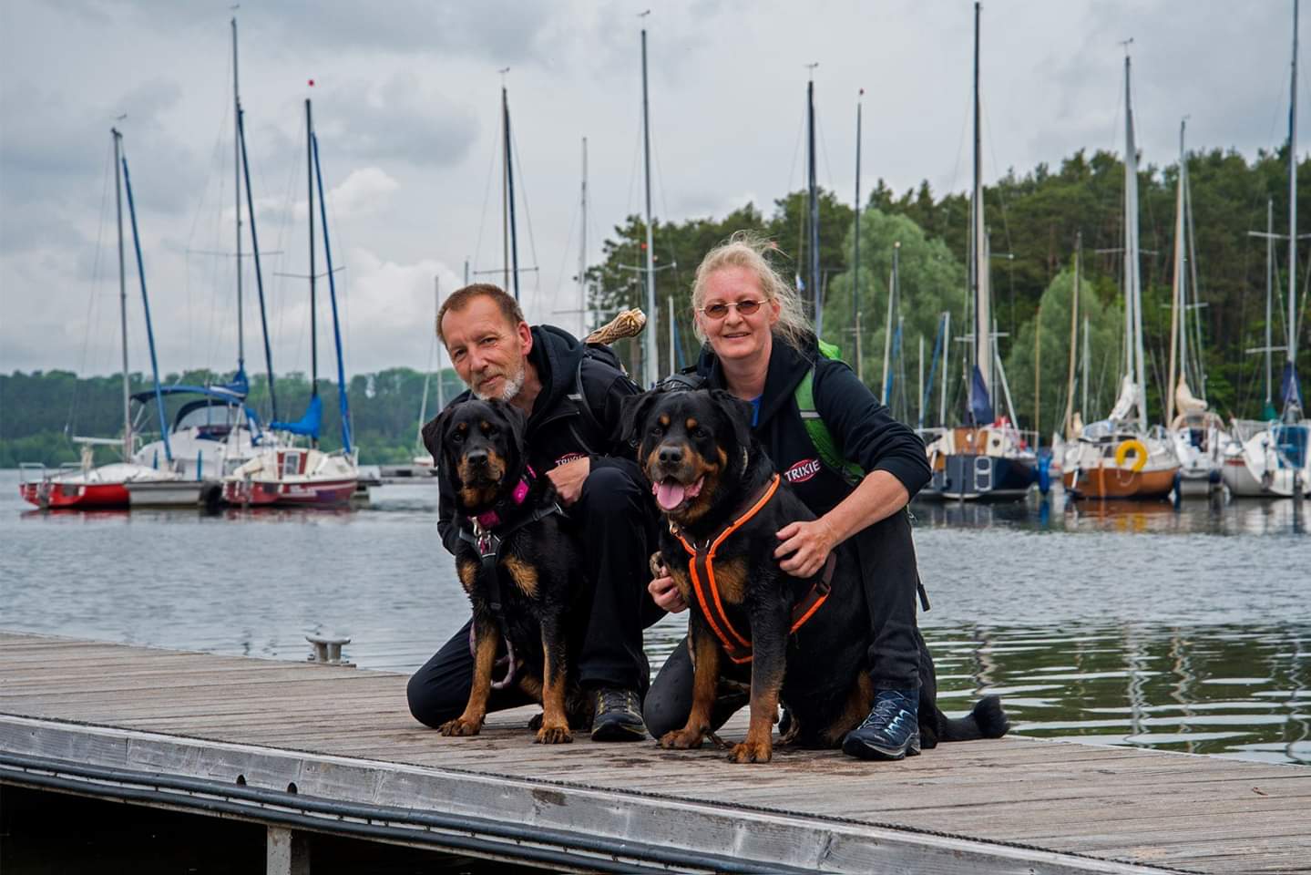 Warum wir für unsere Hundebeiträge kein Geld nehmen – und warum das auch so bleiben soll